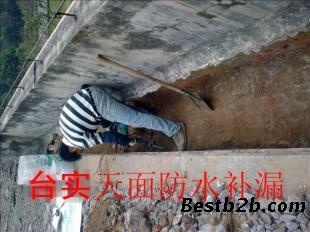 楼房防水补漏、厂房补漏、广州专业补漏公司