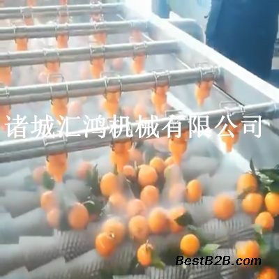 橙子毛辊清洗机