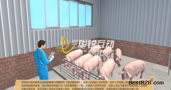 保育猪3D交互实训 猪养殖VR仿真 广州华锐互动