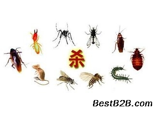 苏州虫害防治老鼠蚊蝇蟑螂轩宇生物科技服务
