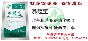 红薯渣含水量比价大能让黄粉虫吃吗
