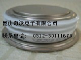 销售POSEICO平板可控硅AT1004X16
