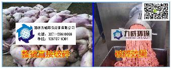 无害化处理设备为环保做贡献