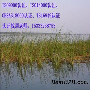 快速办理张家口iso9001认证