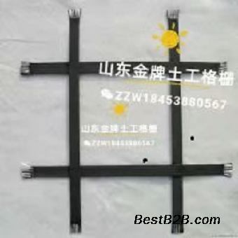 钢塑土工格栅,厂家直销,山东金牌工程材料