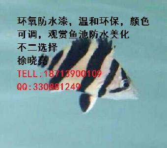 养鱼池防水漆水产养殖环氧树脂渗透防水涂料济宁