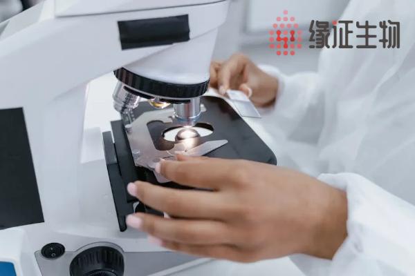 郴州亲子鉴定机构大全共7家(附2025年收费标准)