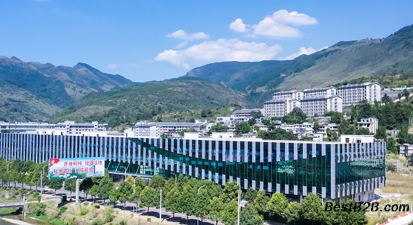 酵素口服液代加工厂家