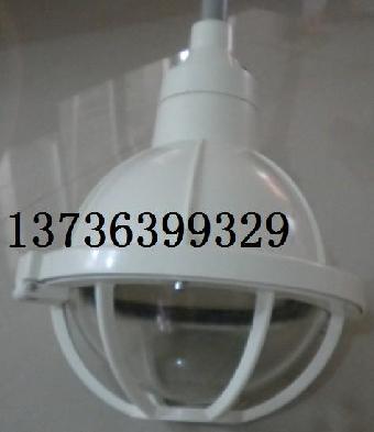 FAD-S-N150WH1Z(带应急)防水防尘灯