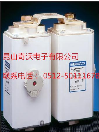 供应进口巴斯曼熔断器170M6284
