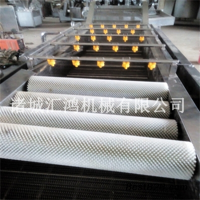 金桔毛辊清洗机 自动洗果机价格 厂家直销