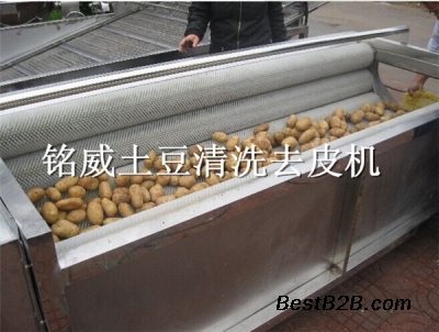 全自动土豆去皮机 毛刷式土豆去皮机价格