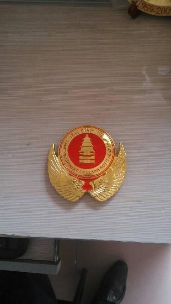 成都车友会浮雕立体车标设计公司 武汉汽车标志厂家