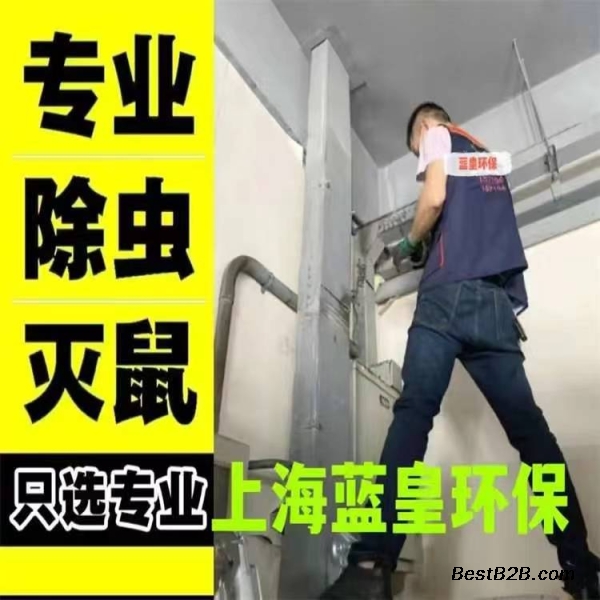 上门家庭灭老鼠除蟑螂专业除虫上海蓝皇环保