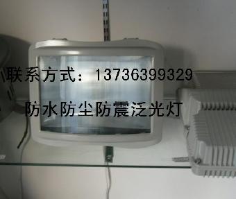 NSE9720-N100WH1三防泛光灯100W