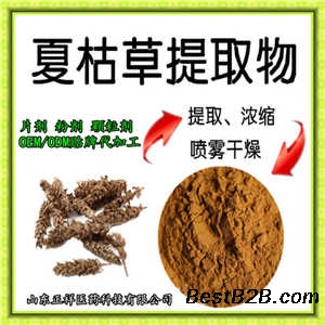 白藜芦醇片代加工 葛根夏枯草 桑枝提取物 压片糖果