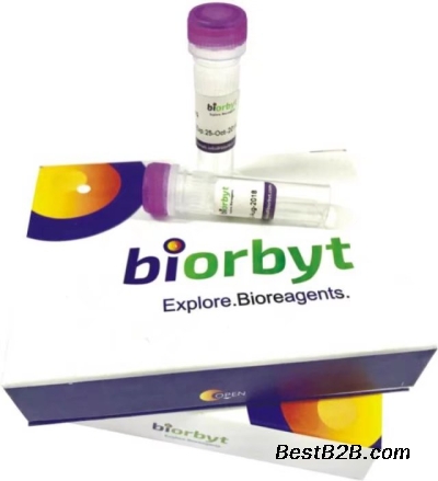 biorbyt品牌抗体,orb7050