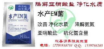 养甲鱼池里面水质很恶化怎么办,用什么来改水