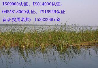 衡水iso9001认证办理