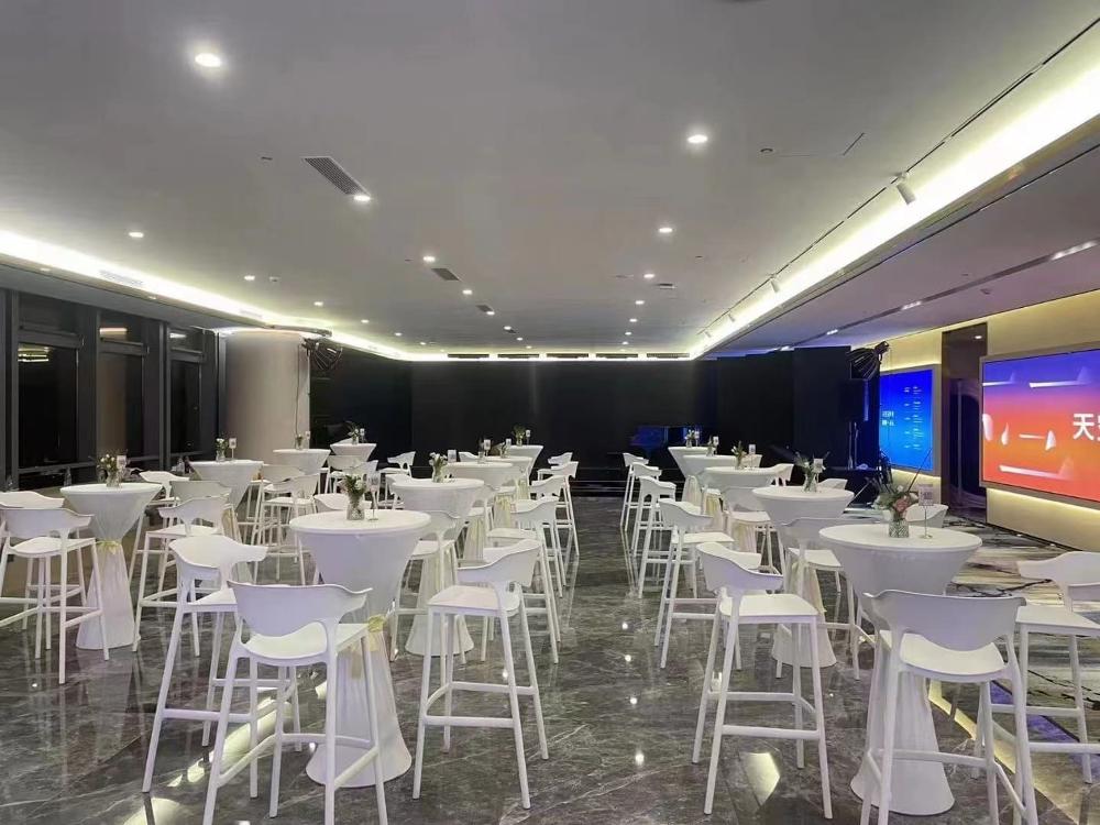 高端贵宾椅租赁 适用论坛/颁奖礼/发布会