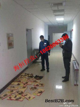 无锡灭老鼠的公司 专业捕老鼠、江阴抓老鼠除老鼠单