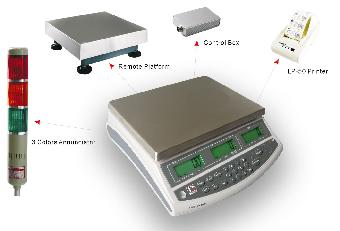 江苏300公斤开关控制电子地称定做