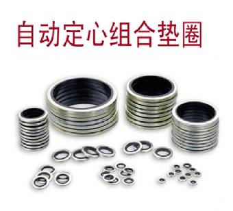 进口M10组合垫圈