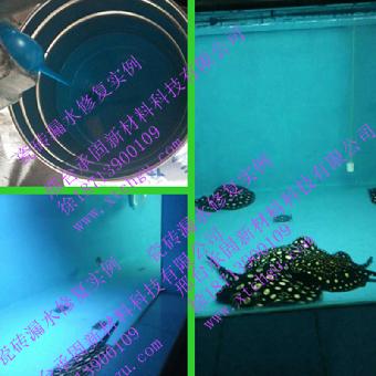 威海养鱼池防水漆水产养殖环保防水涂料