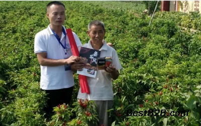 辣椒防落花落果舞谷风增产套餐