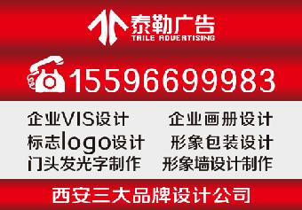 西安南郊北郊高新产品包装设计制作丨楼体亮化丨PPT